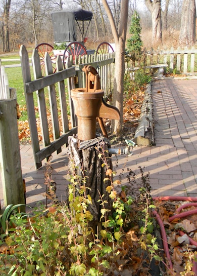An old hand water pump is mounted on a tree stump surrounded by autumn leaves and foliage. A wooden fence is visible with a vintage carriage in the background, suggesting a rustic, historical setting. The ground is paved with bricks, and there are scattered red garden hoses.