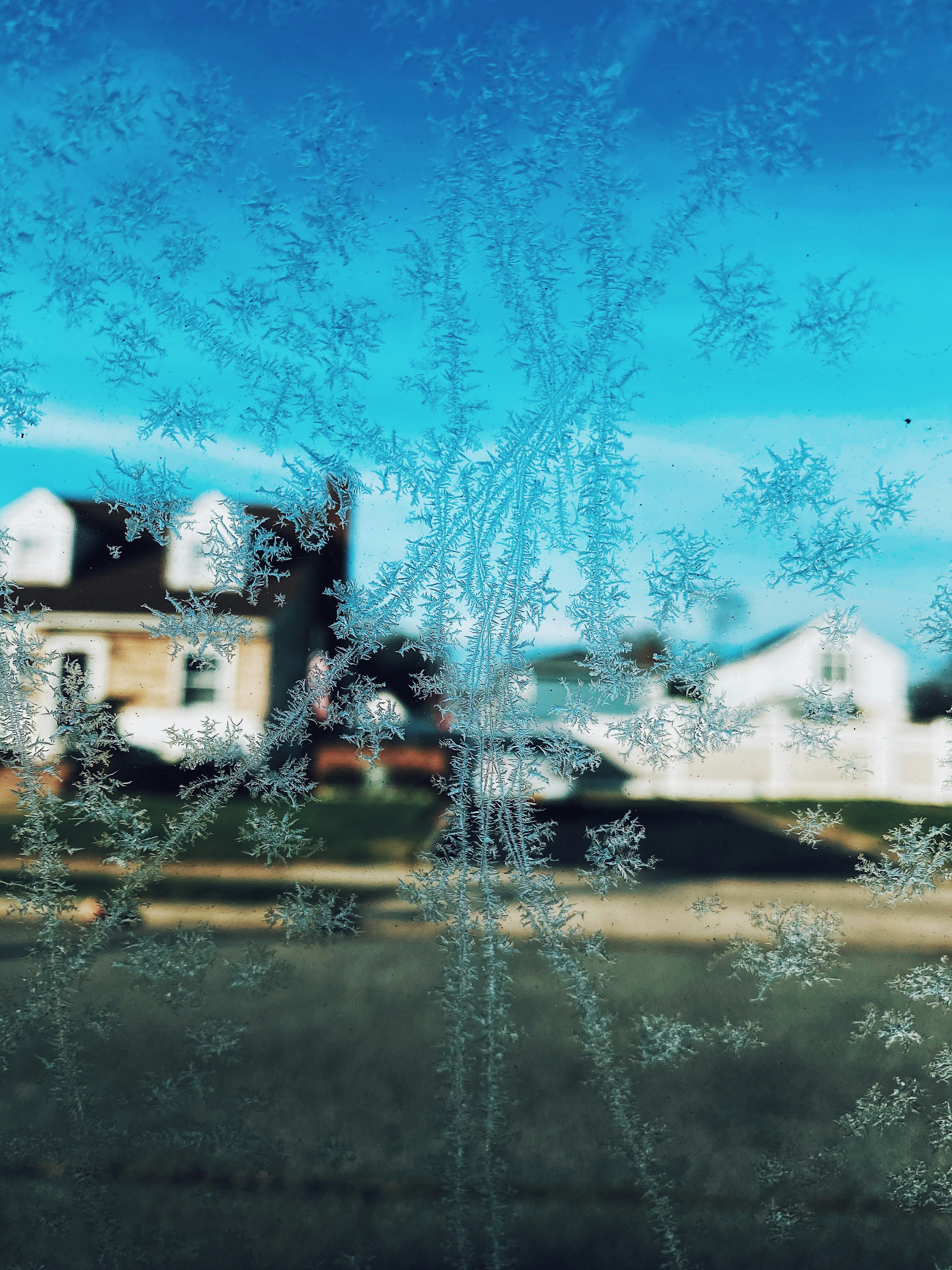 white and brown house near trees during daytime