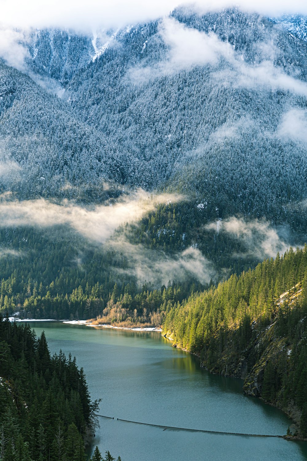 green trees near lake under white clouds during daytime