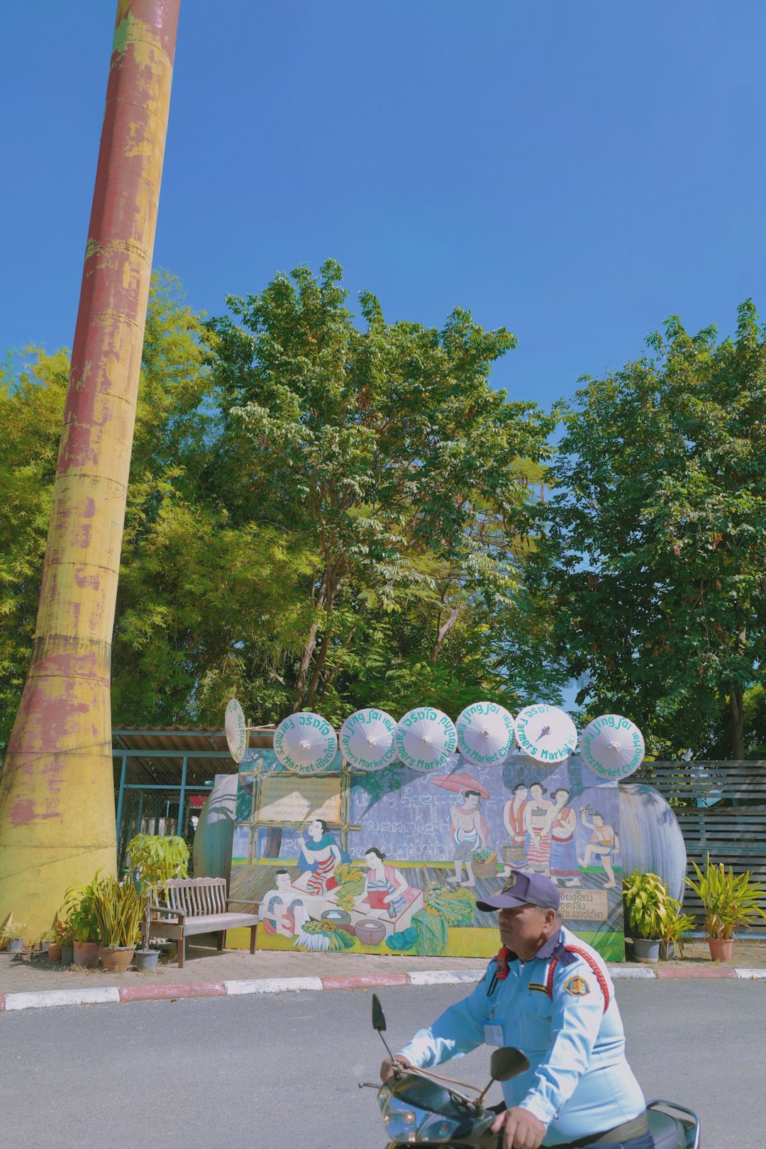 people sitting on white chairs near green trees during daytime