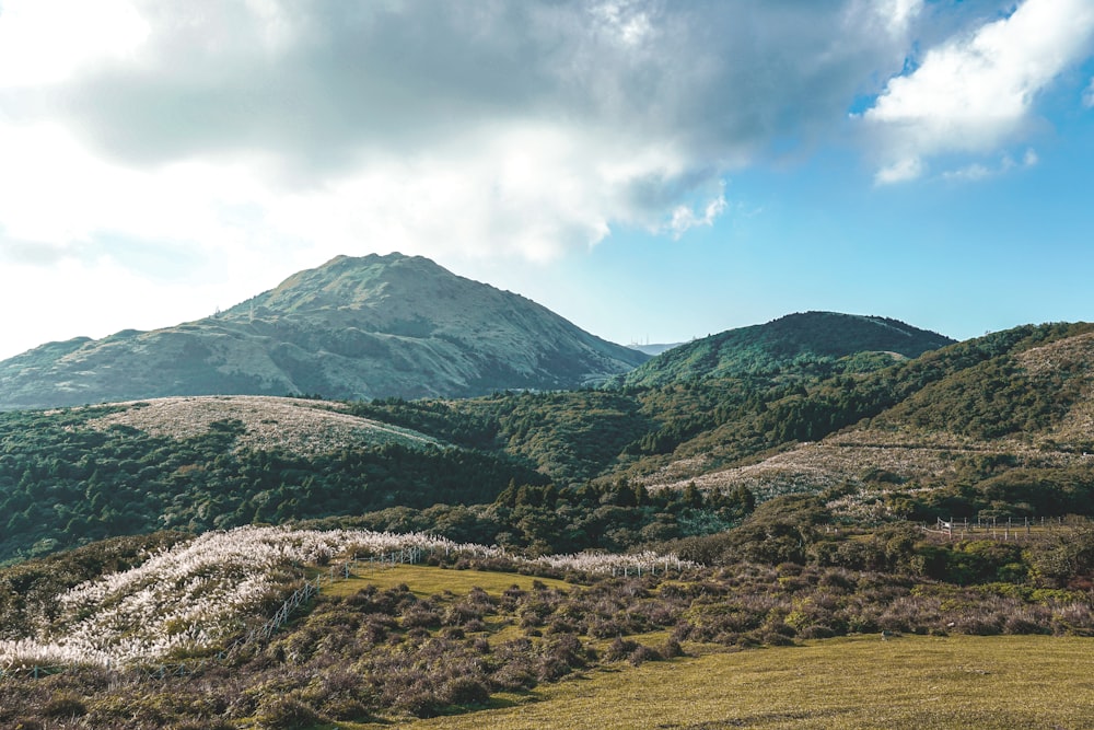 green and brown mountains under white clouds and blue sky during daytime