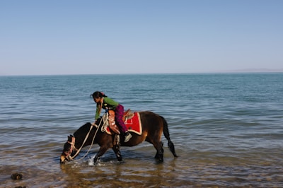 A child rides a horse standing in shallow water near the shore. The child is dressed in colorful clothing and leans forward as the horse drinks from the water. The vast expanse of a calm sea stretches into the horizon under a clear blue sky.