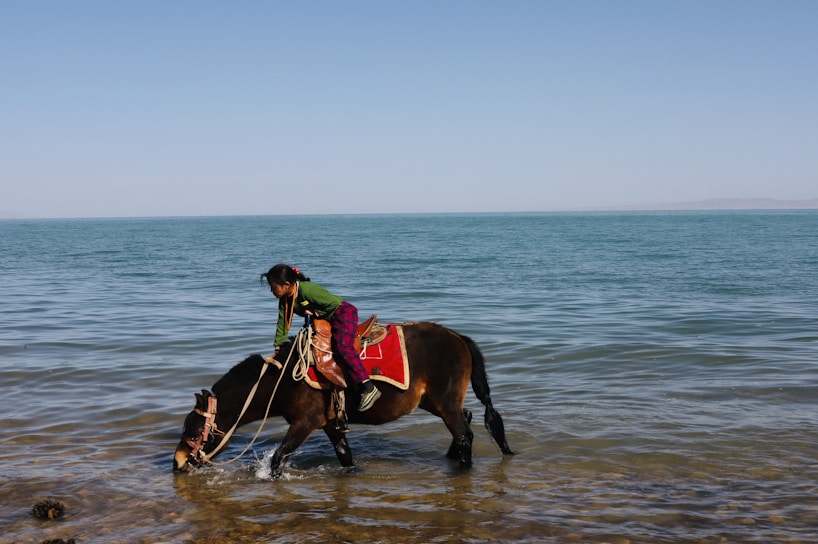 A child rides a horse standing in shallow water near the shore. The child is dressed in colorful clothing and leans forward as the horse drinks from the water. The vast expanse of a calm sea stretches into the horizon under a clear blue sky.