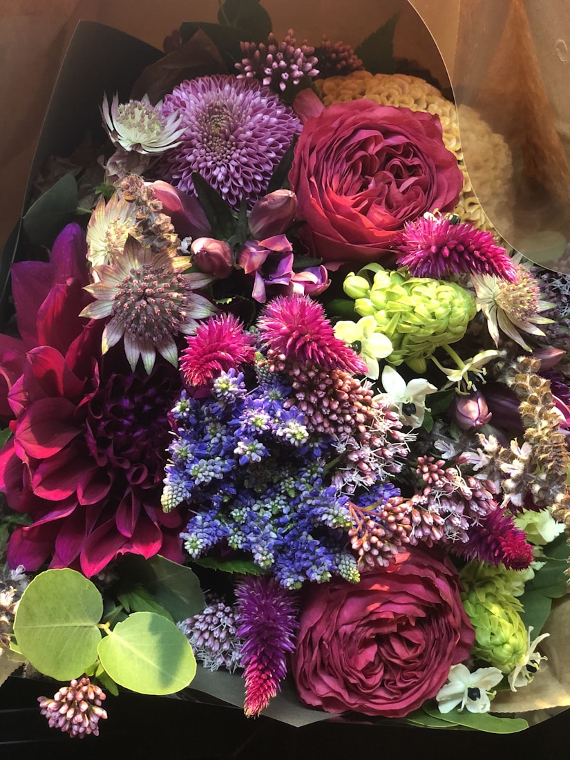 Dense arrangement of burgundy and pink blooms
