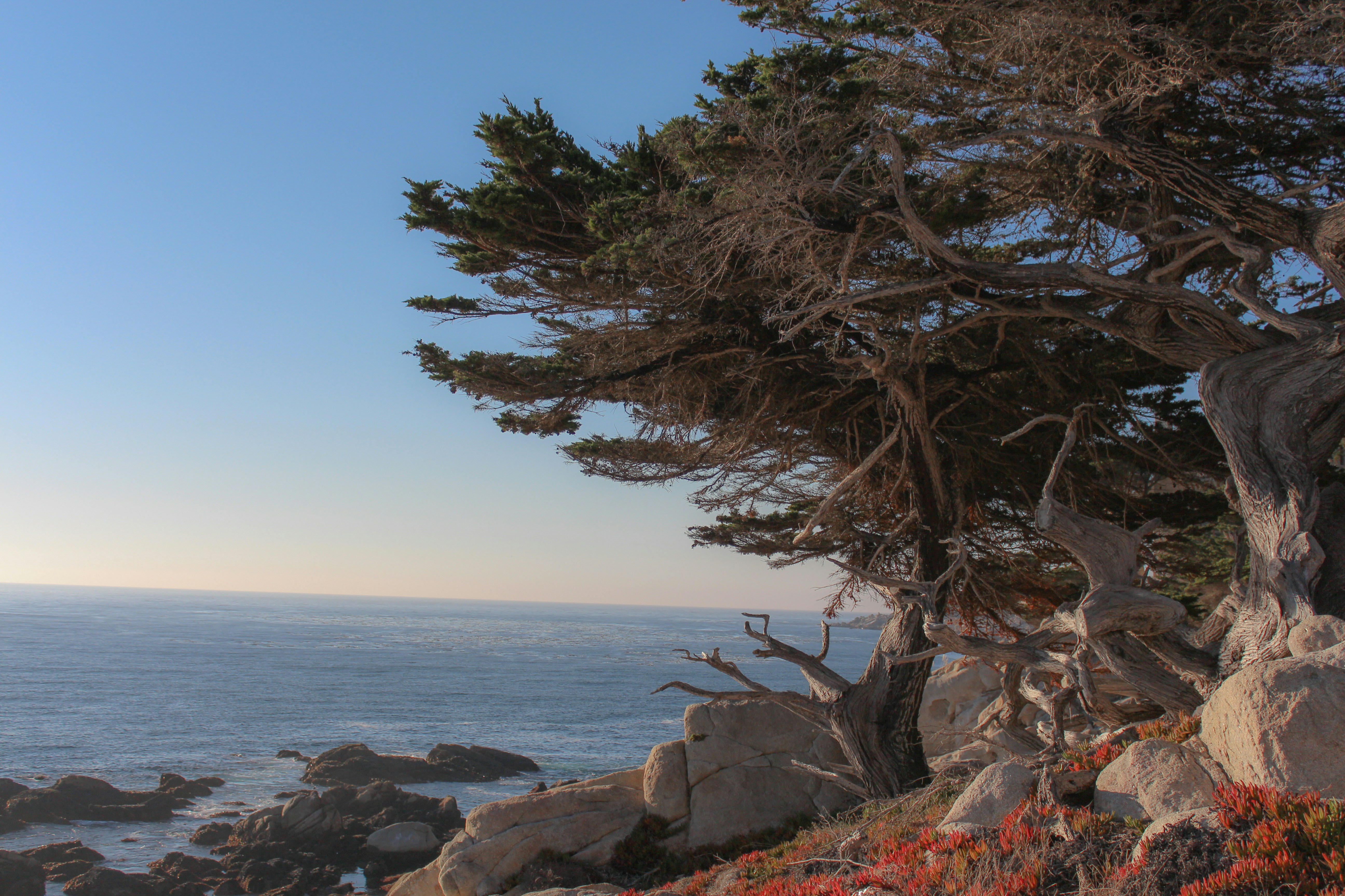 Photo by harpandbowl