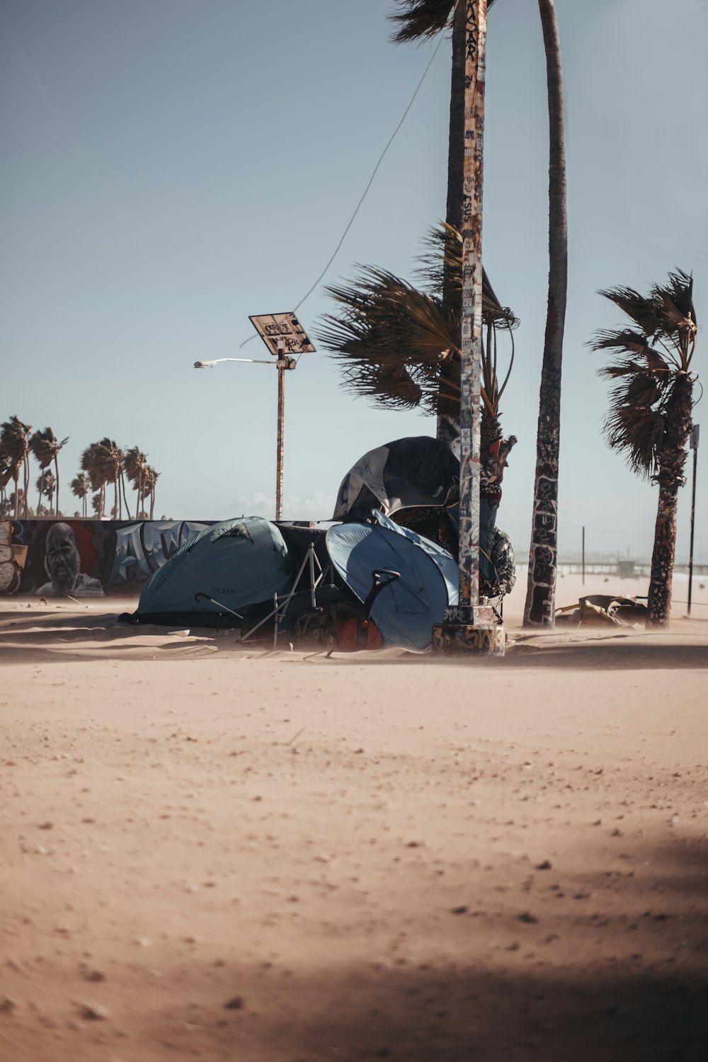 people on beach during daytime