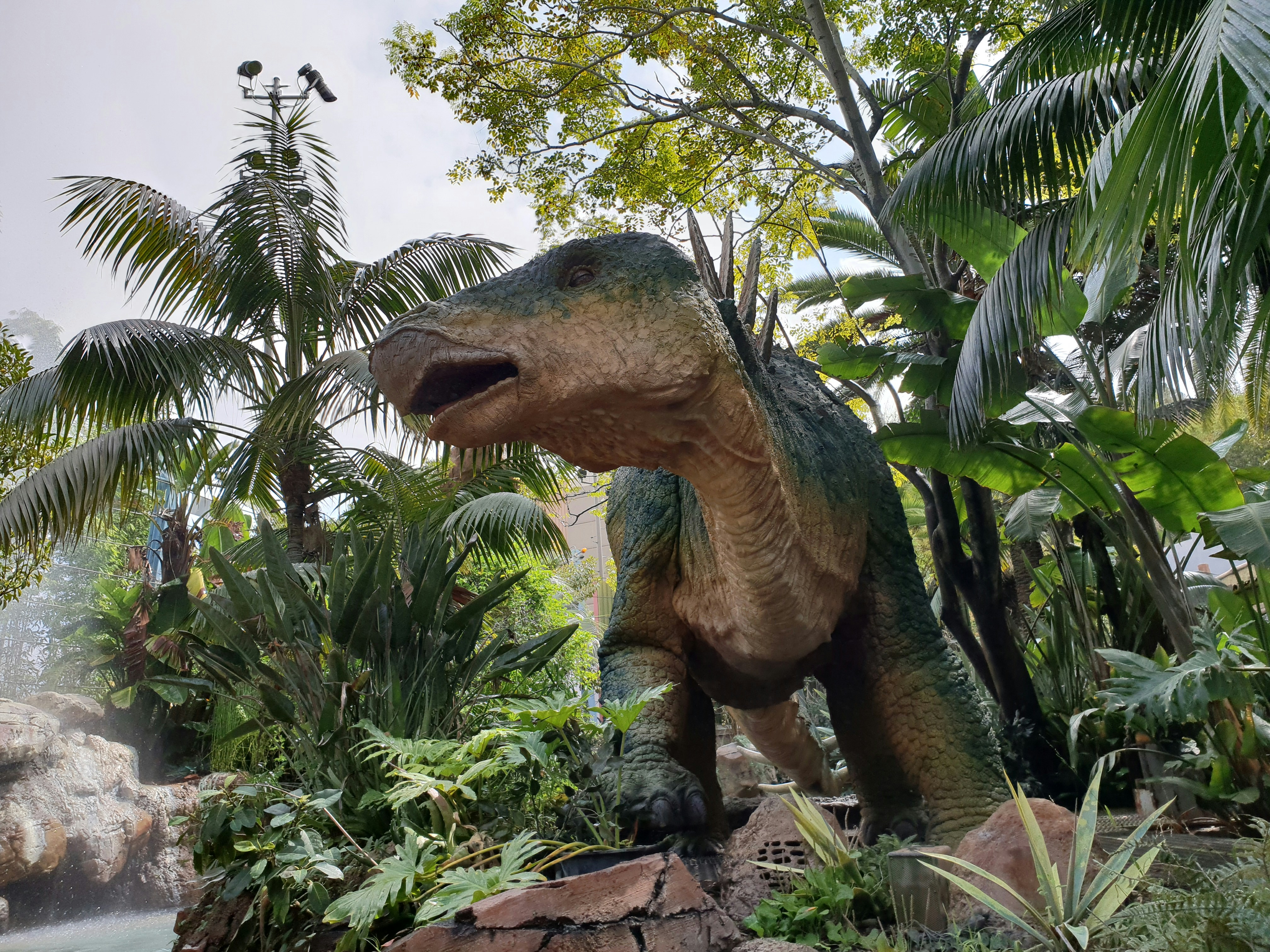 green and brown dinosaur statue, Model of a T-rex dinosaur 