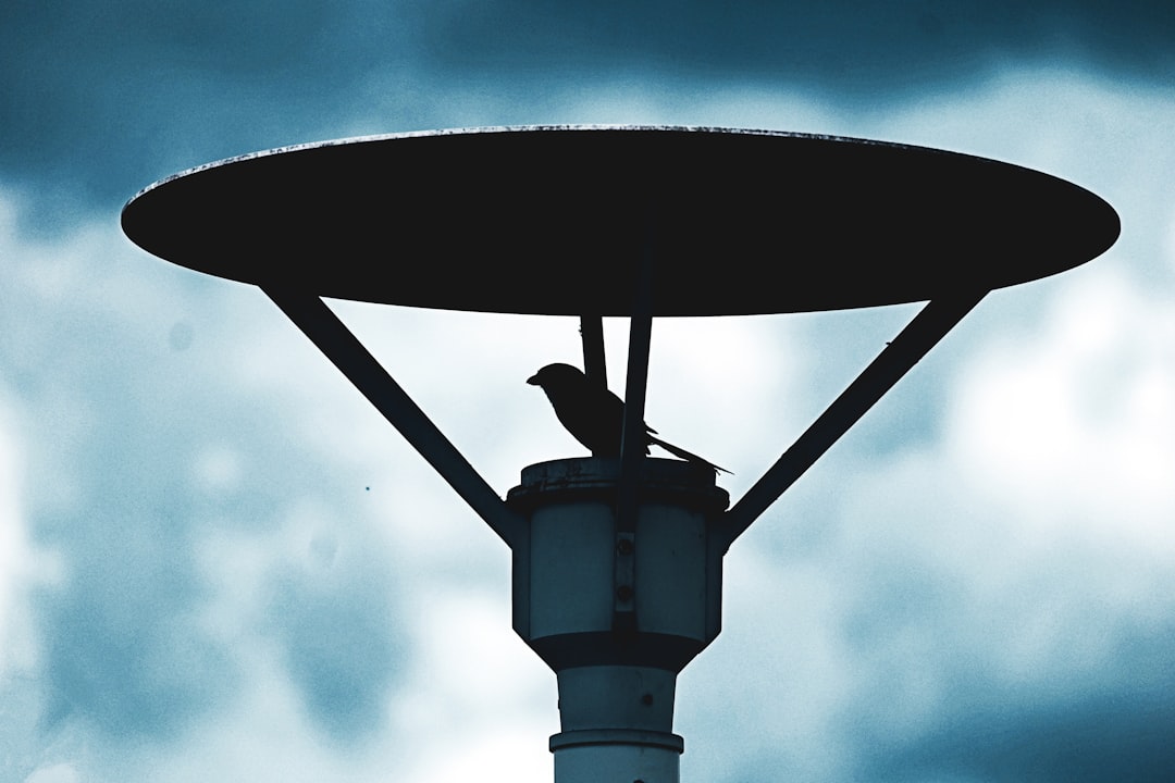 black metal stand under blue sky