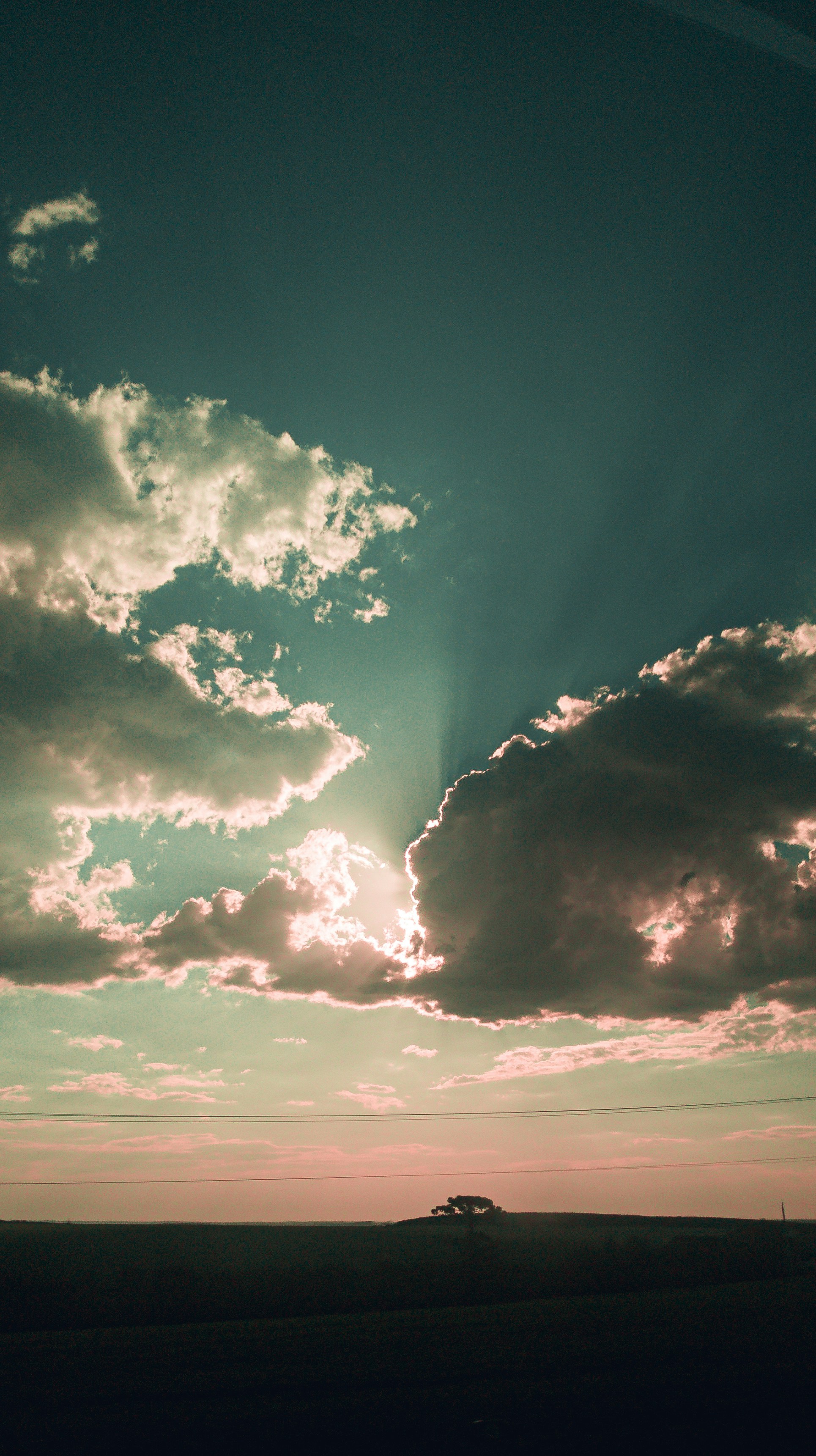 Photo by guilhermestecanella