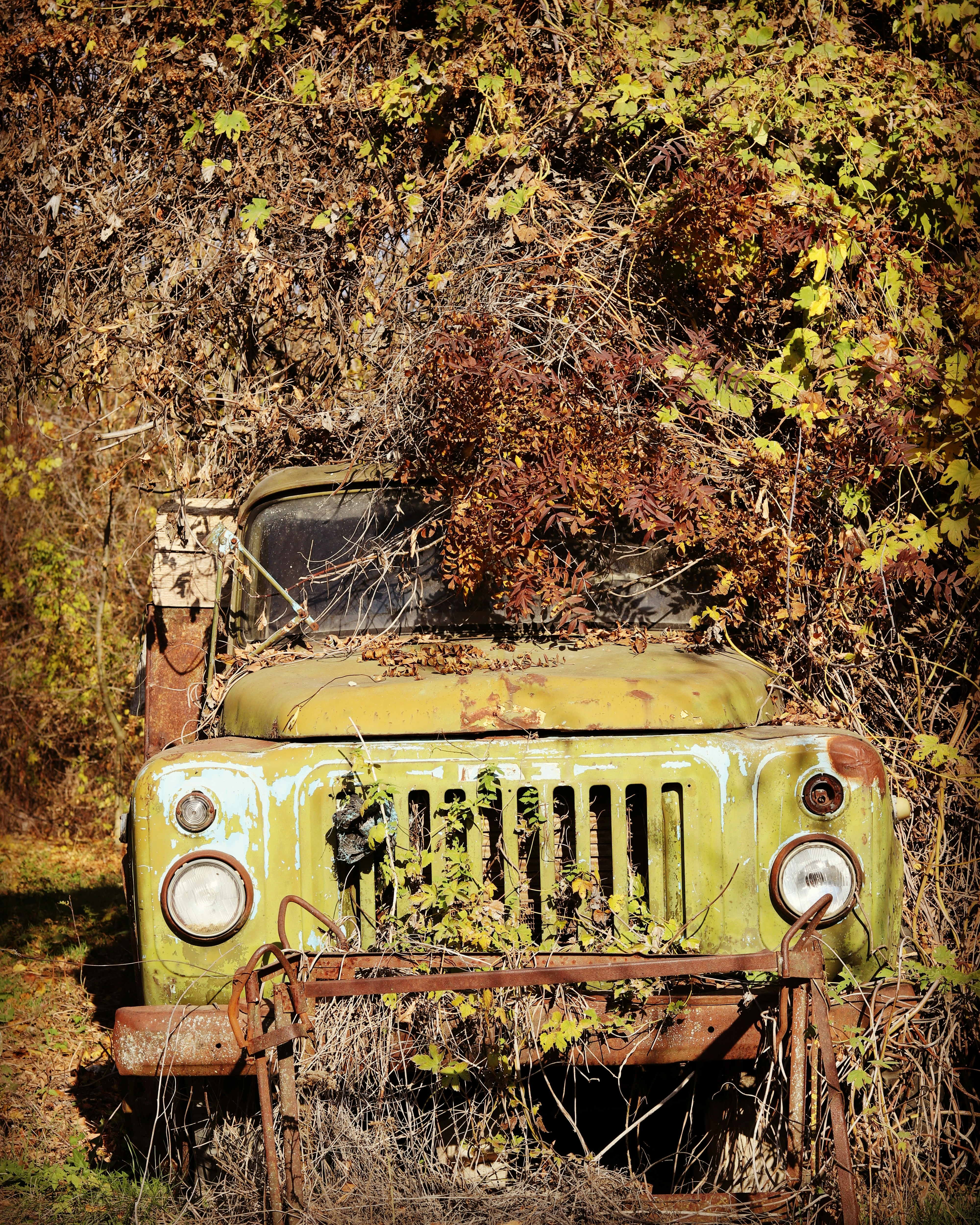 Photo by reloadworld4dreamers