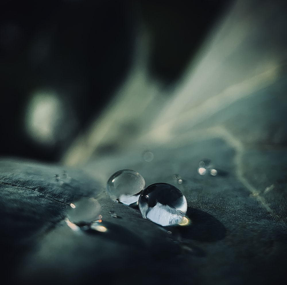 gouttelettes d’eau sur la feuille en macrophotographie