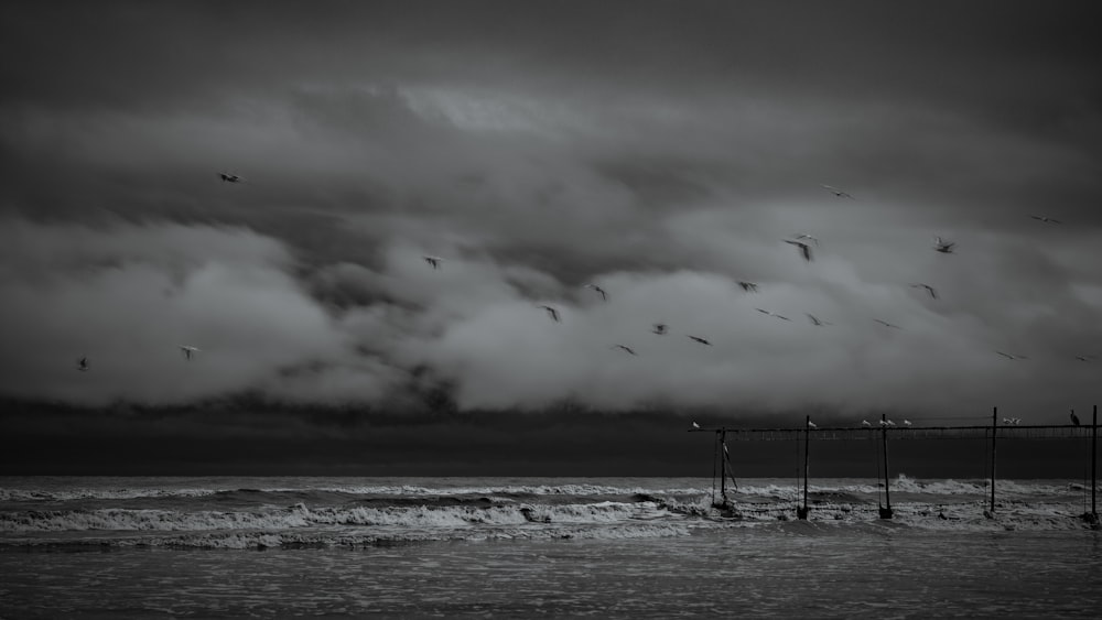 birds flying over the sea during daytime