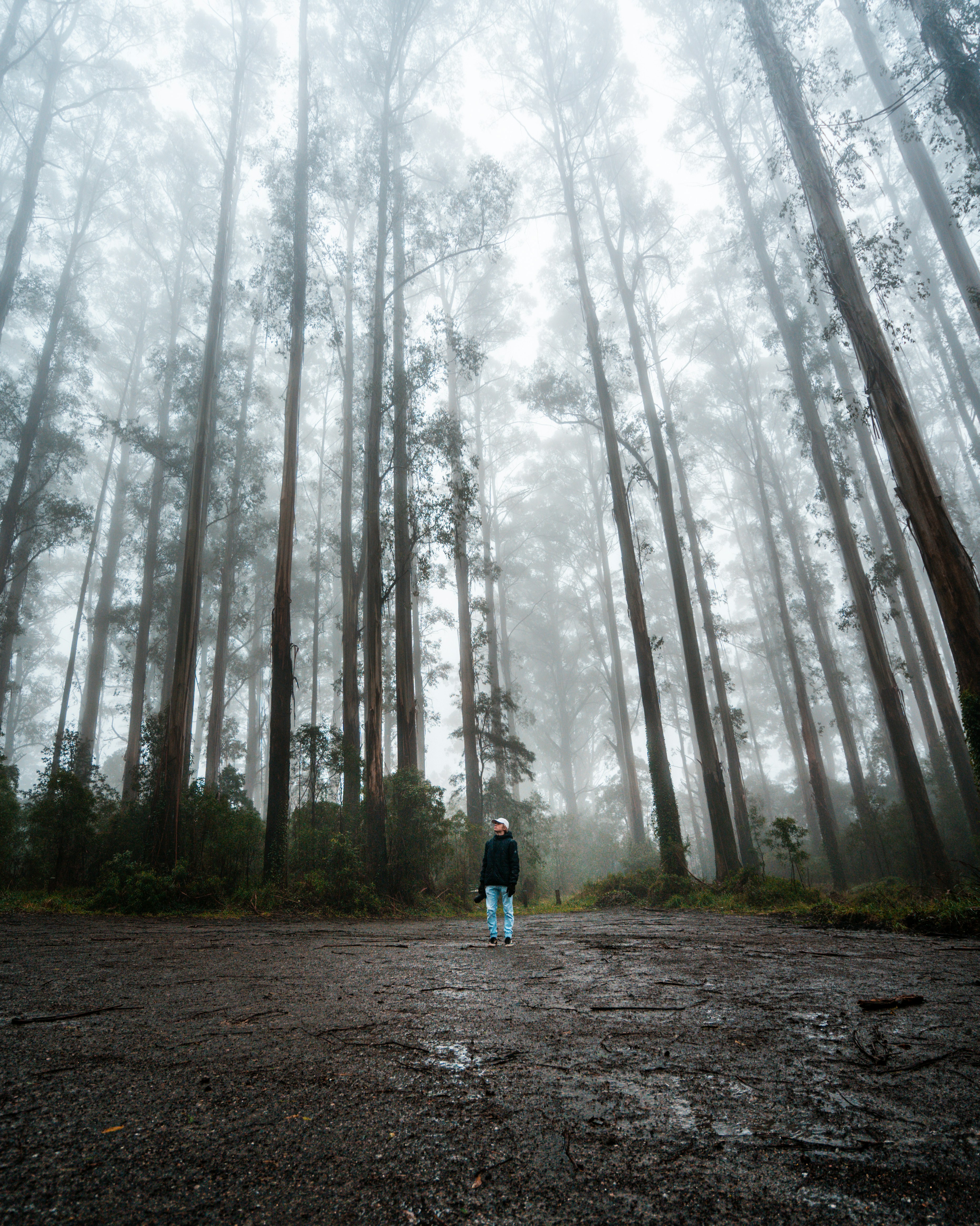 Photo by oskarsmethurst