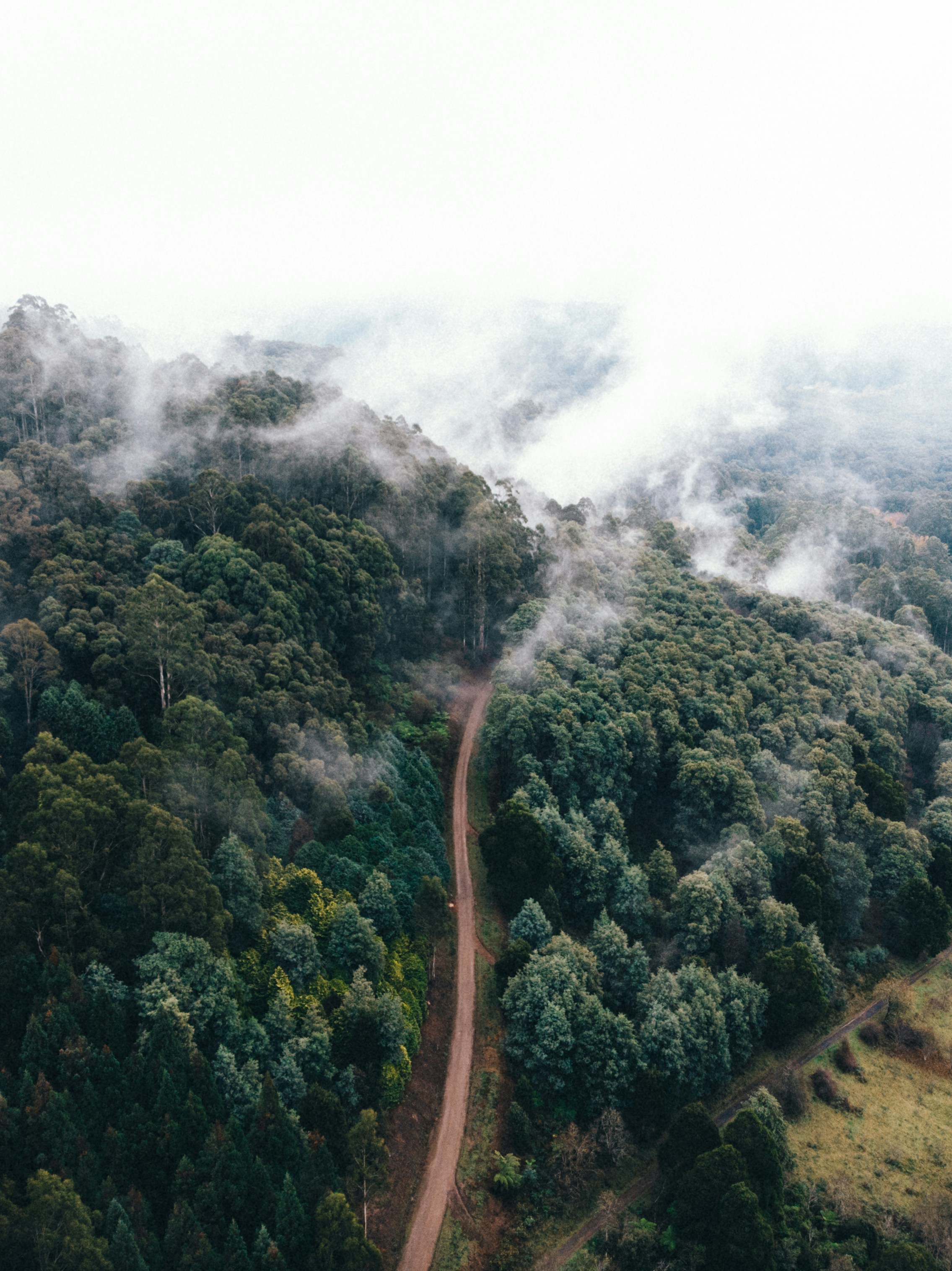 Photo by oskarsmethurst