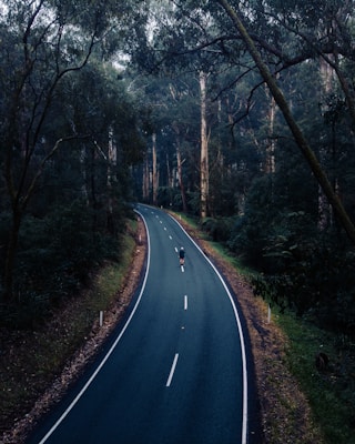 오늘의 운세 무료사주 신년운세 사이트 비교 이미지