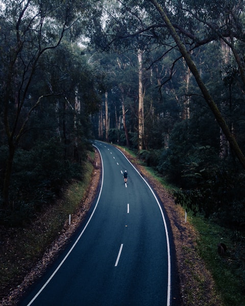 Festive Snacking: Best Traditional Treats for Diwali 2025