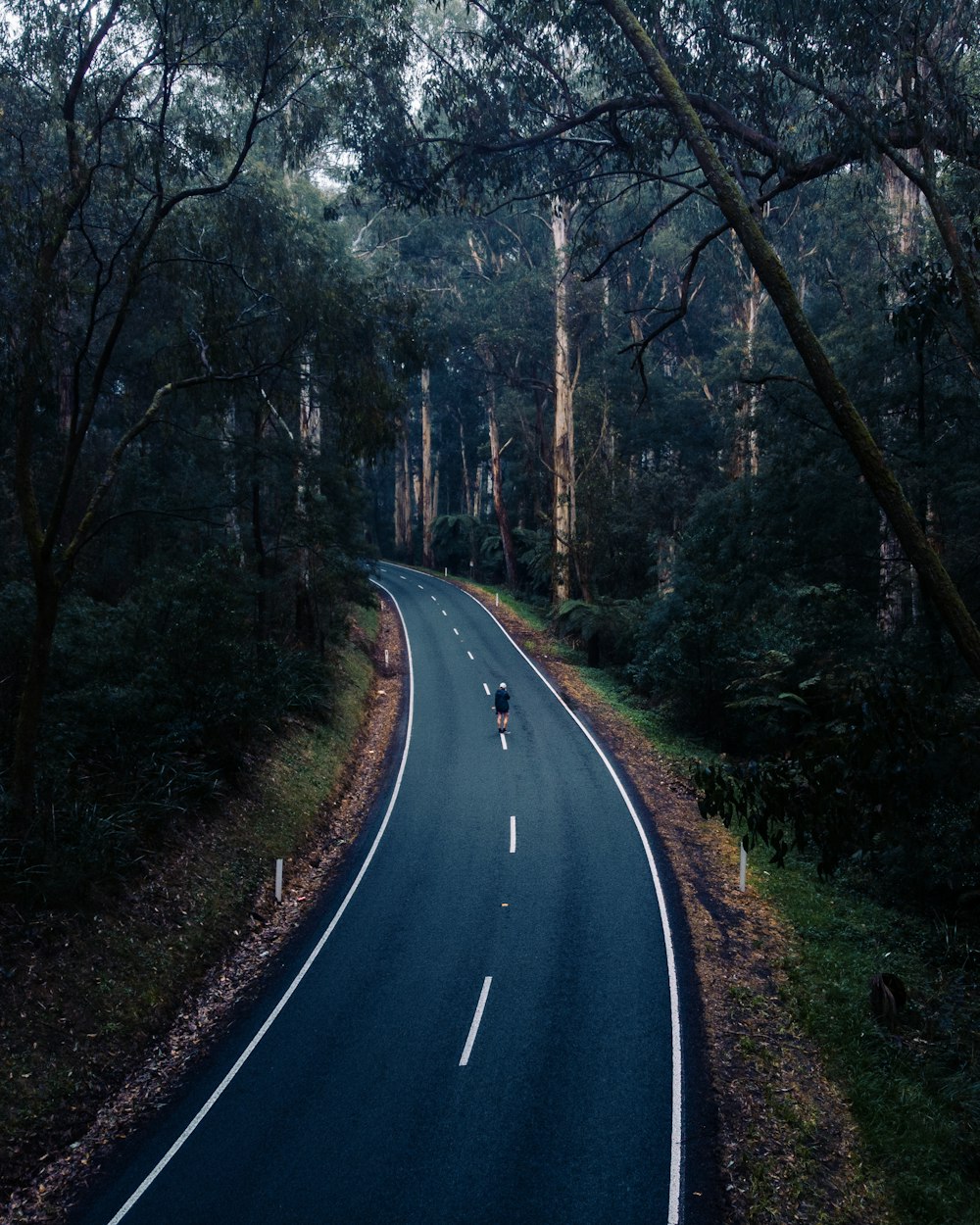 gray concrete road between trees during daytime