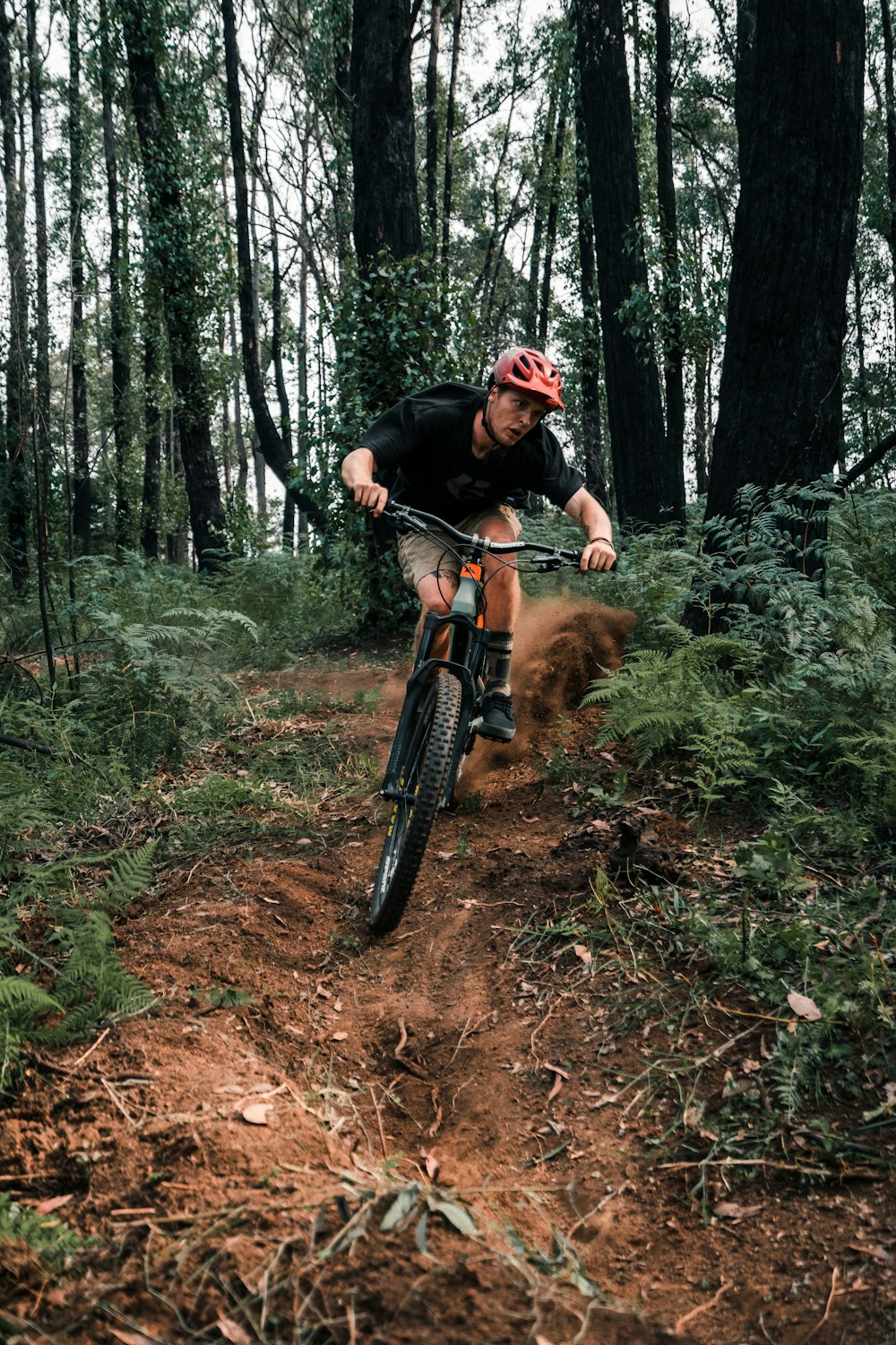 man riding bicycle on forest during daytime