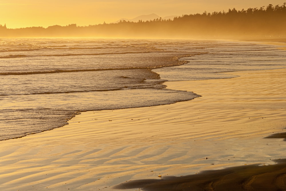 sea waves crashing on shore during sunset