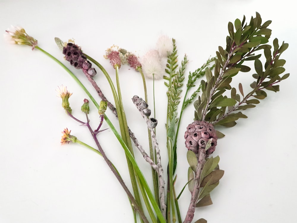 white and pink flowers on white surface