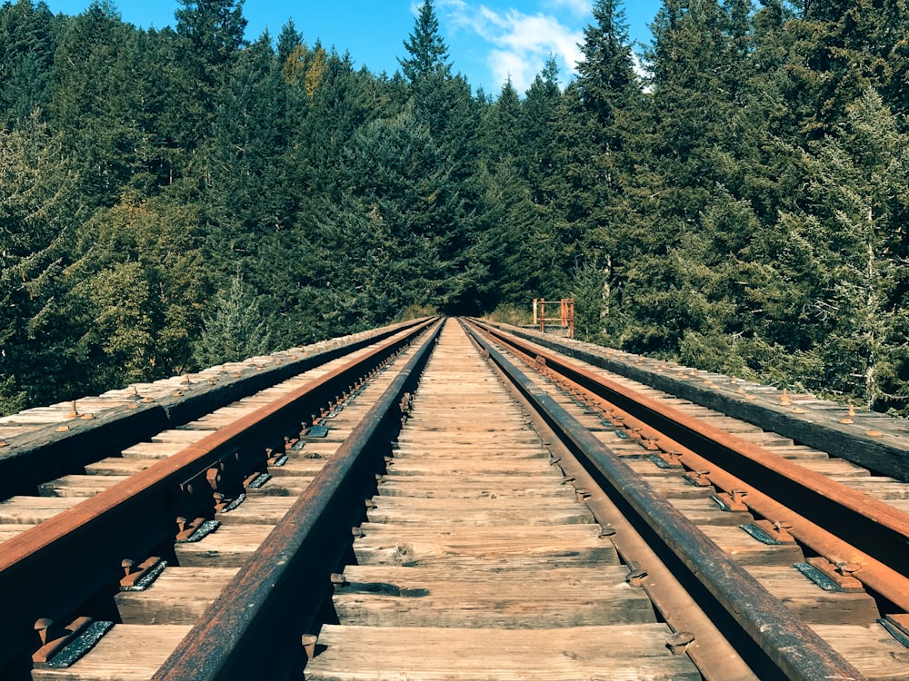 brown wooden train rail near green trees during daytime