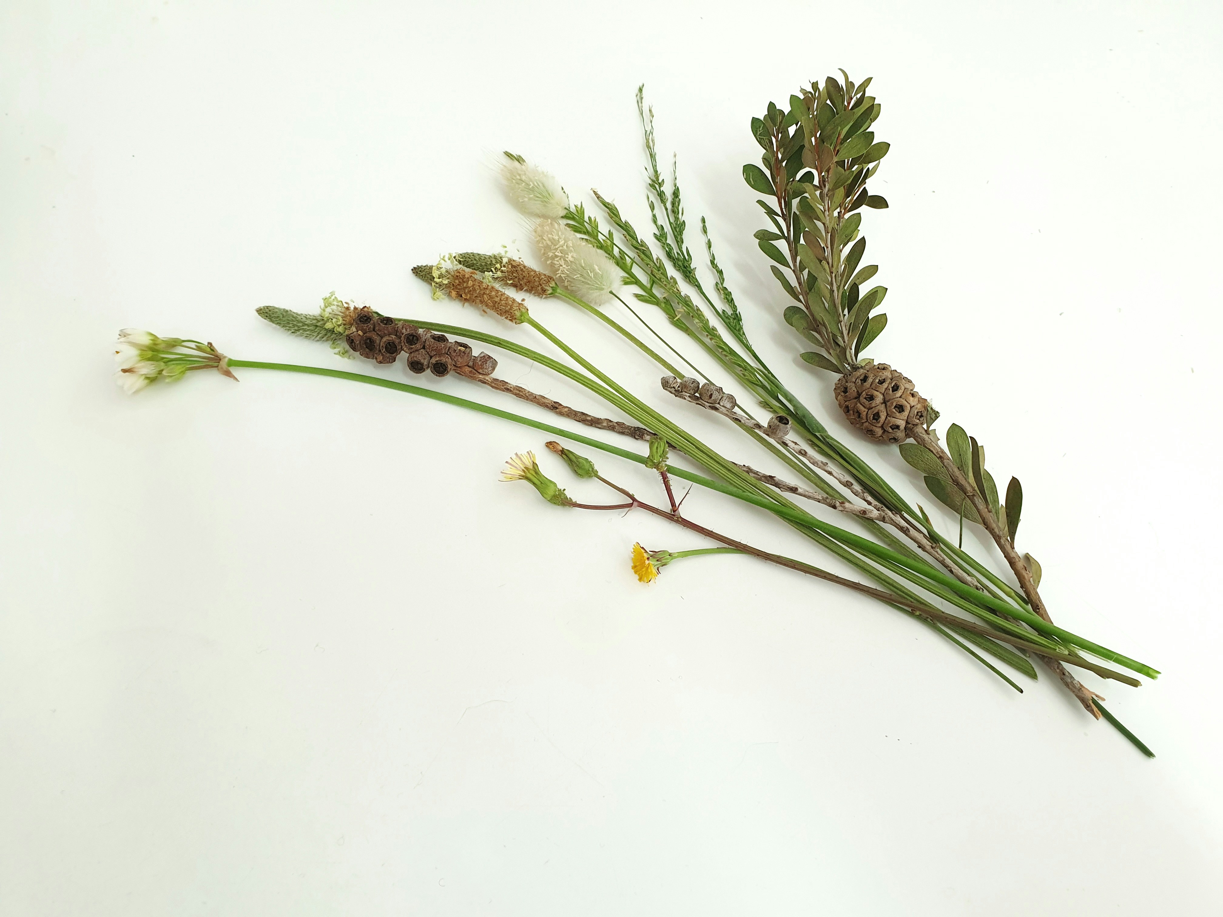 Photo by alphabetania