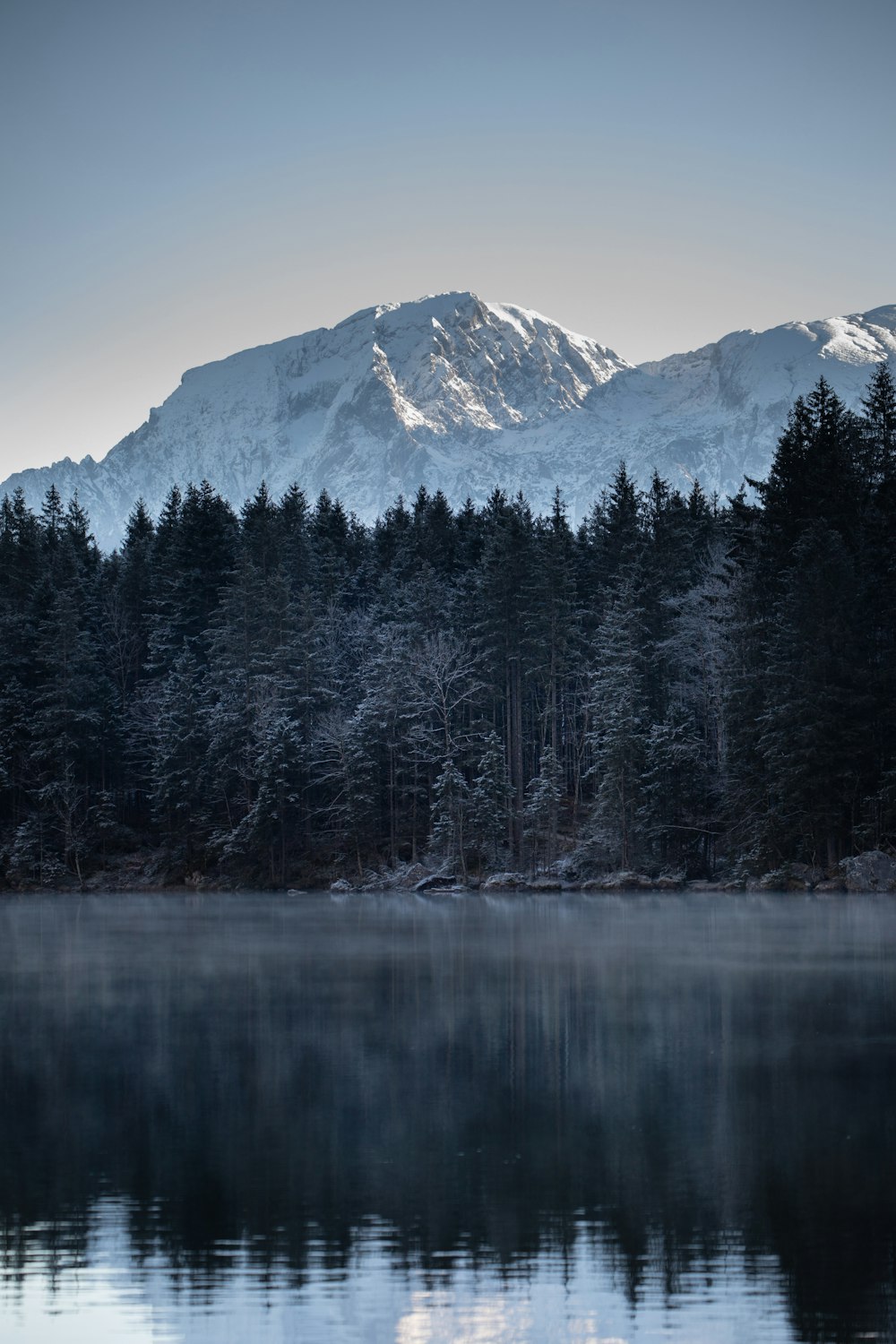 green pine trees near lake and snow covered mountain during daytime