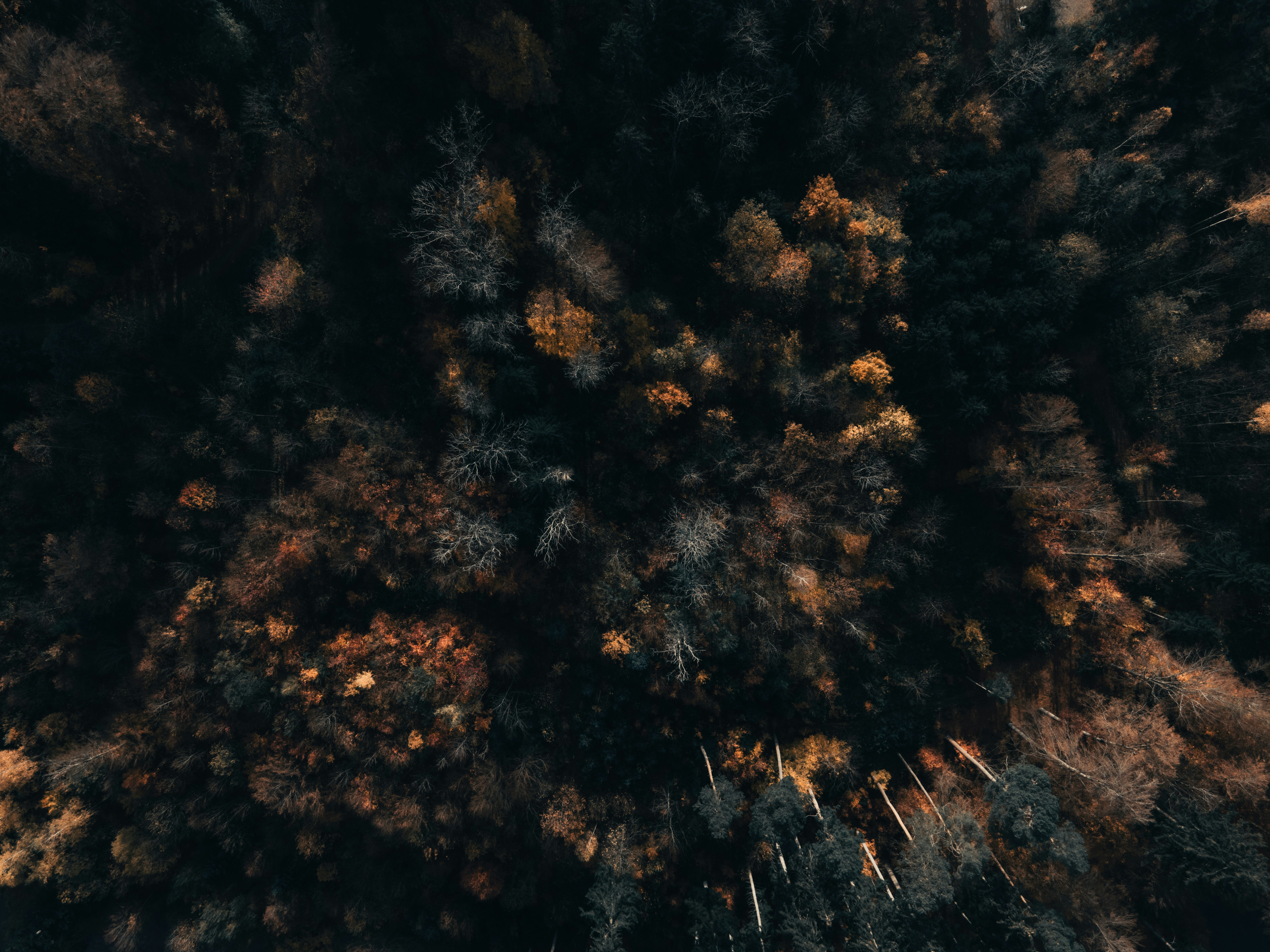 Photo by florianschmid