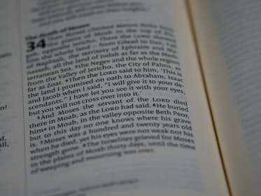 A close-up view of a Bible passage, focusing on a section of text with chapter and verse numbers visible. The text is formatted in two columns on a cream-colored page with thin black lines separating sections.