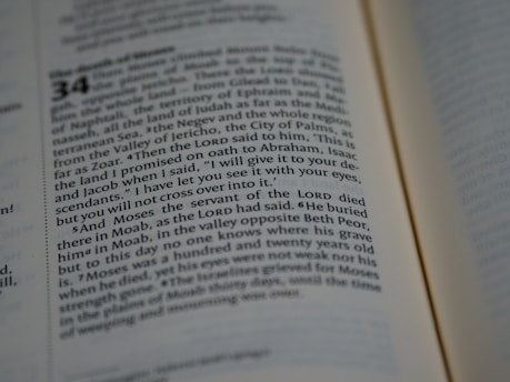 A close-up view of a Bible passage, focusing on a section of text with chapter and verse numbers visible. The text is formatted in two columns on a cream-colored page with thin black lines separating sections.