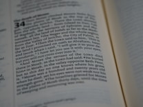 A close-up view of a Bible passage, focusing on a section of text with chapter and verse numbers visible. The text is formatted in two columns on a cream-colored page with thin black lines separating sections.