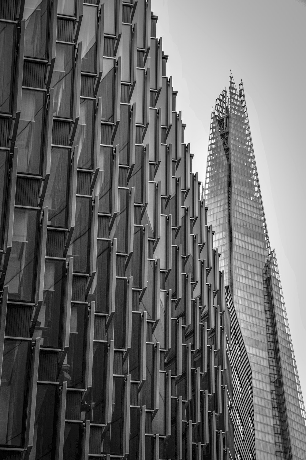Foto en escala de grises de un edificio de gran altura