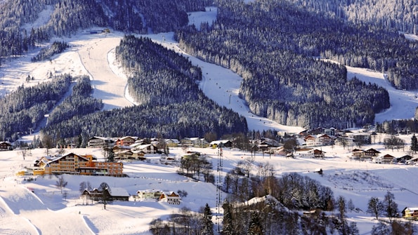 A picturesque winter landscape with snow-covered mountains and dense evergreen forests. A small village with rustic wooden houses is nestled at the base of the mountains. Brightly lit buildings contrast with the snowy surroundings, creating a cozy atmosphere.