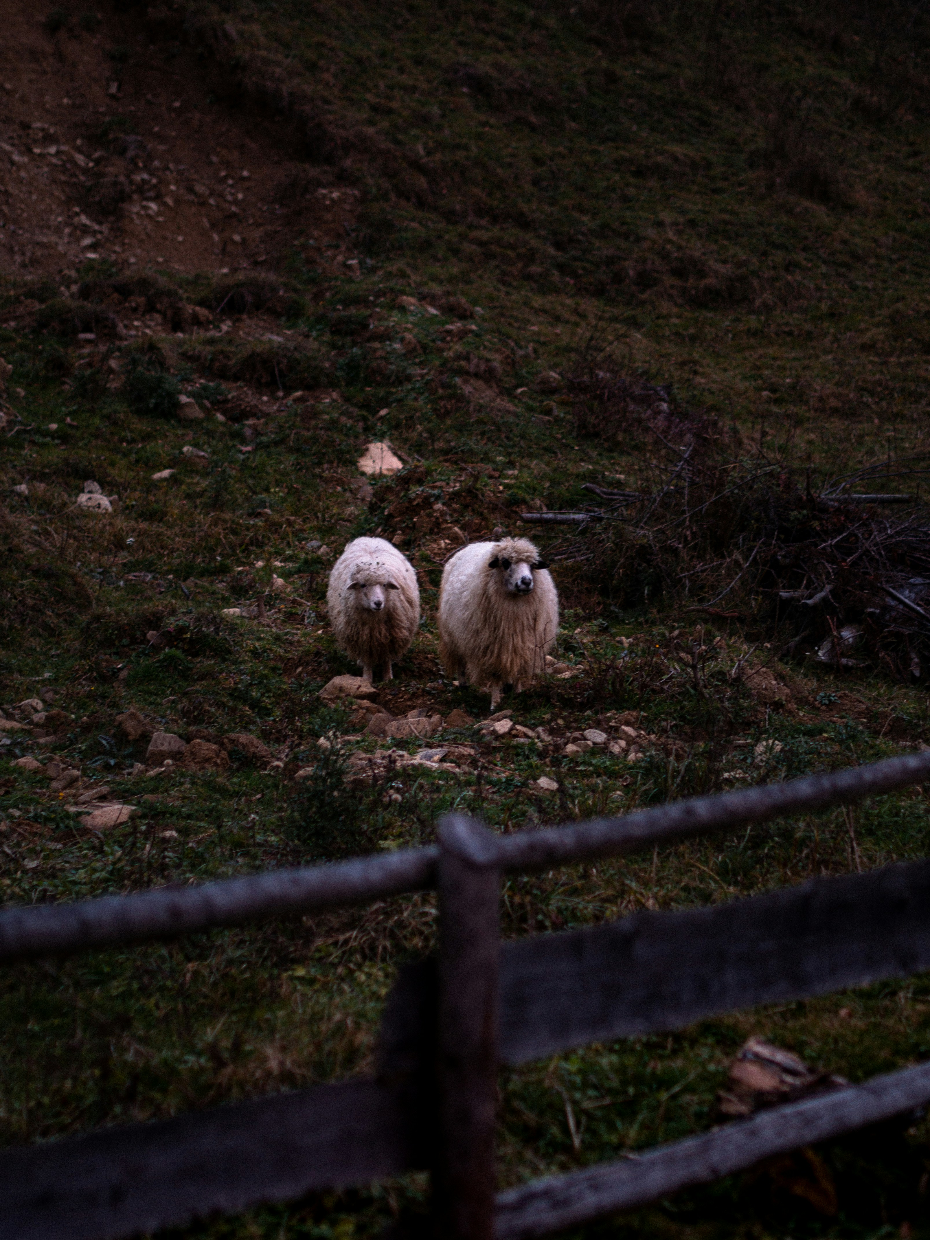 Photo by fedorchenkoalina
