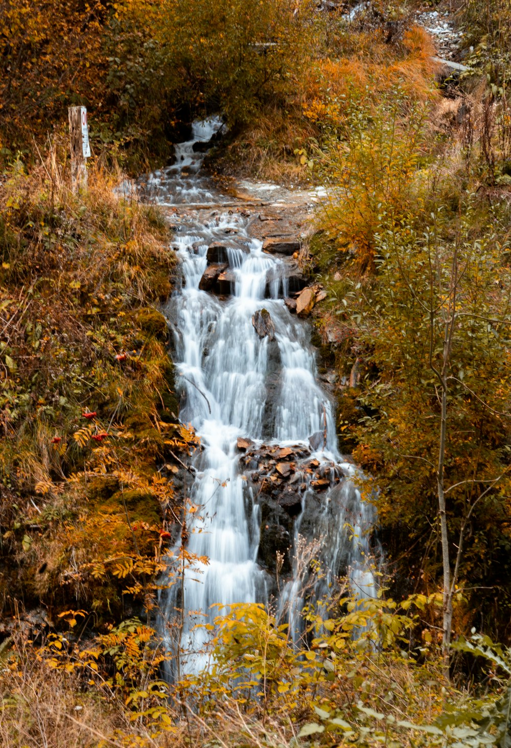 water falls in forest during daytime