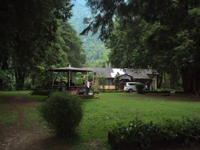 A quaint house is nestled among tall, lush trees in a serene natural setting. In front of the house, a well-trimmed lawn and a parked white car are visible. Nearby, a covered gazebo with people sitting underneath adds a cozy touch to the scene. The surrounding greenery and distant hills create a peaceful and secluded atmosphere.