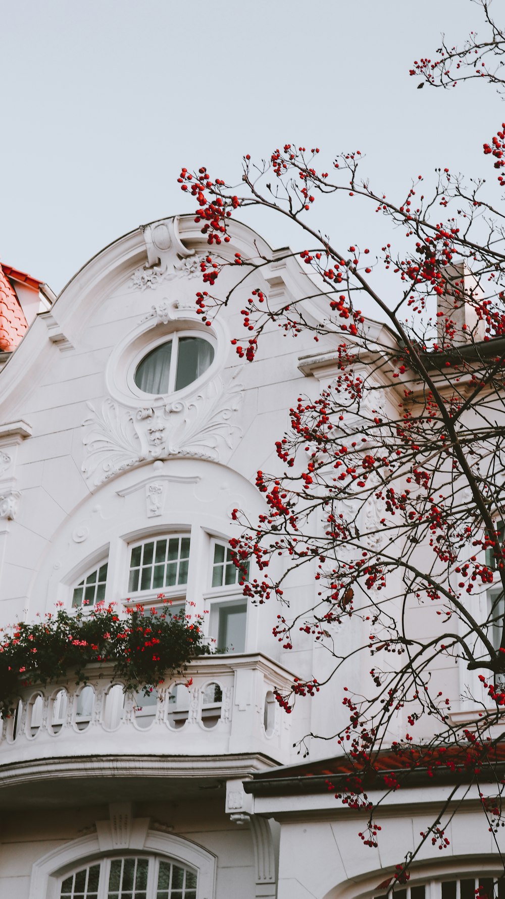 white concrete building with red leaves on top