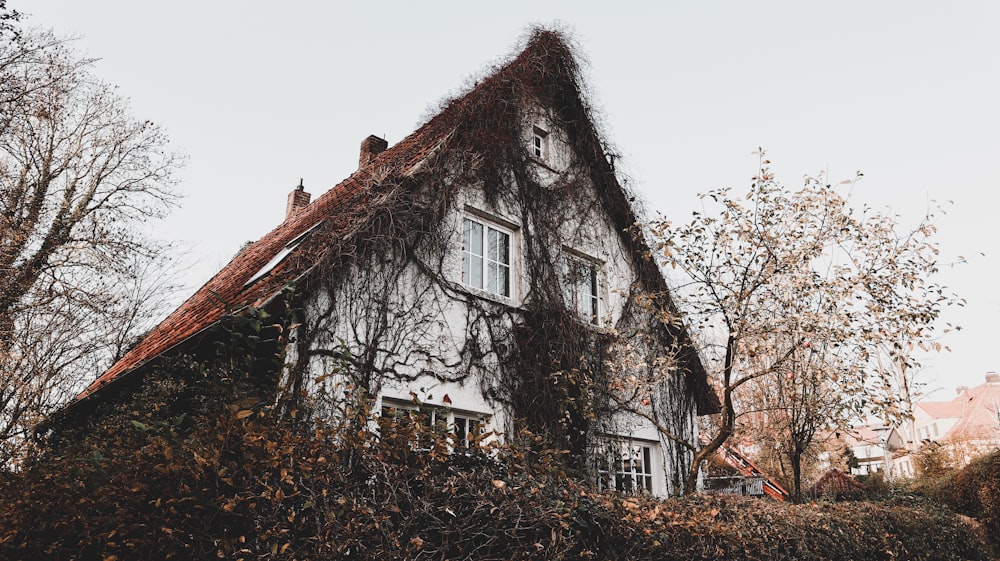 white and brown house near brown trees during daytime