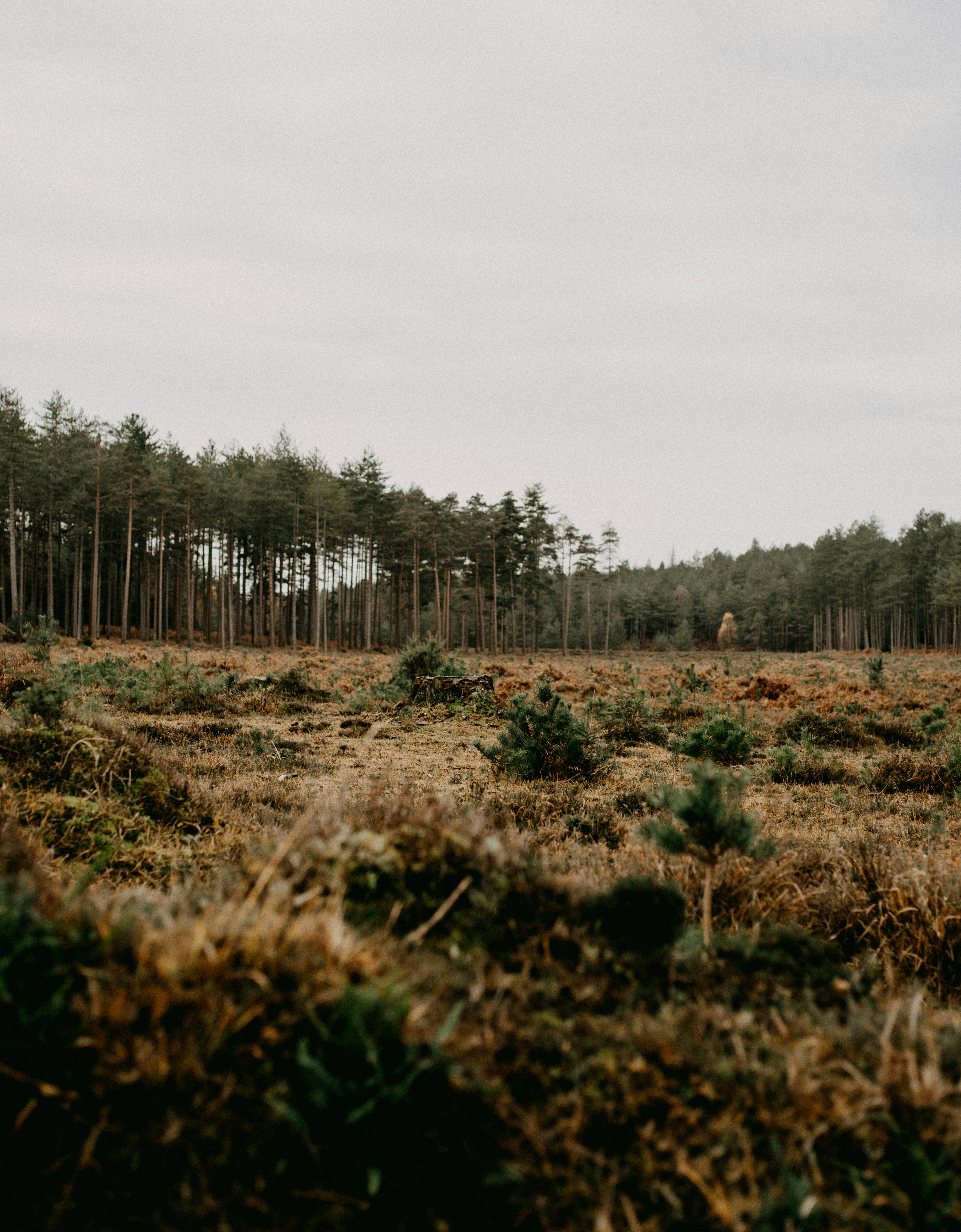 Photo by anniespratt