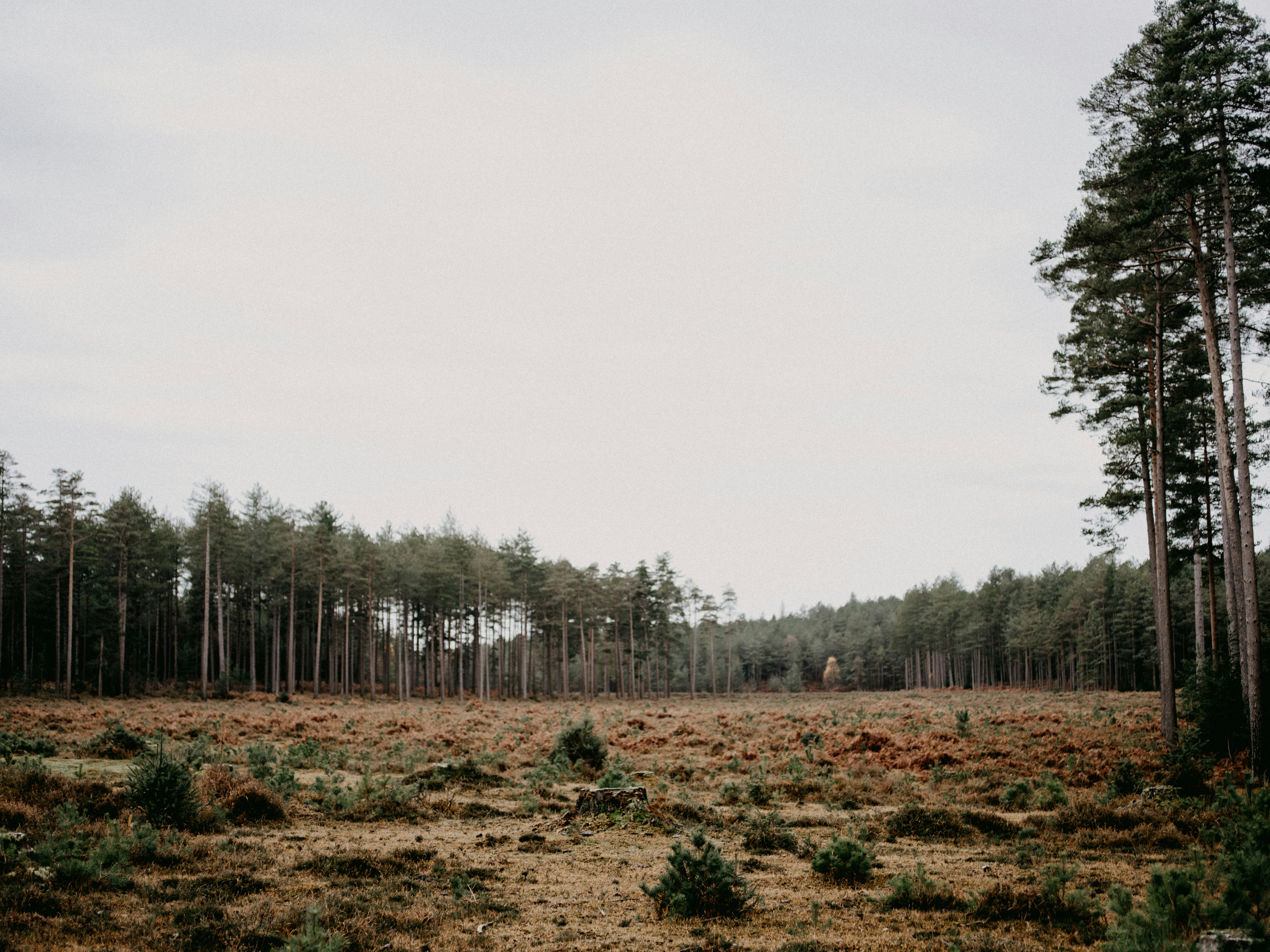 Photo by anniespratt