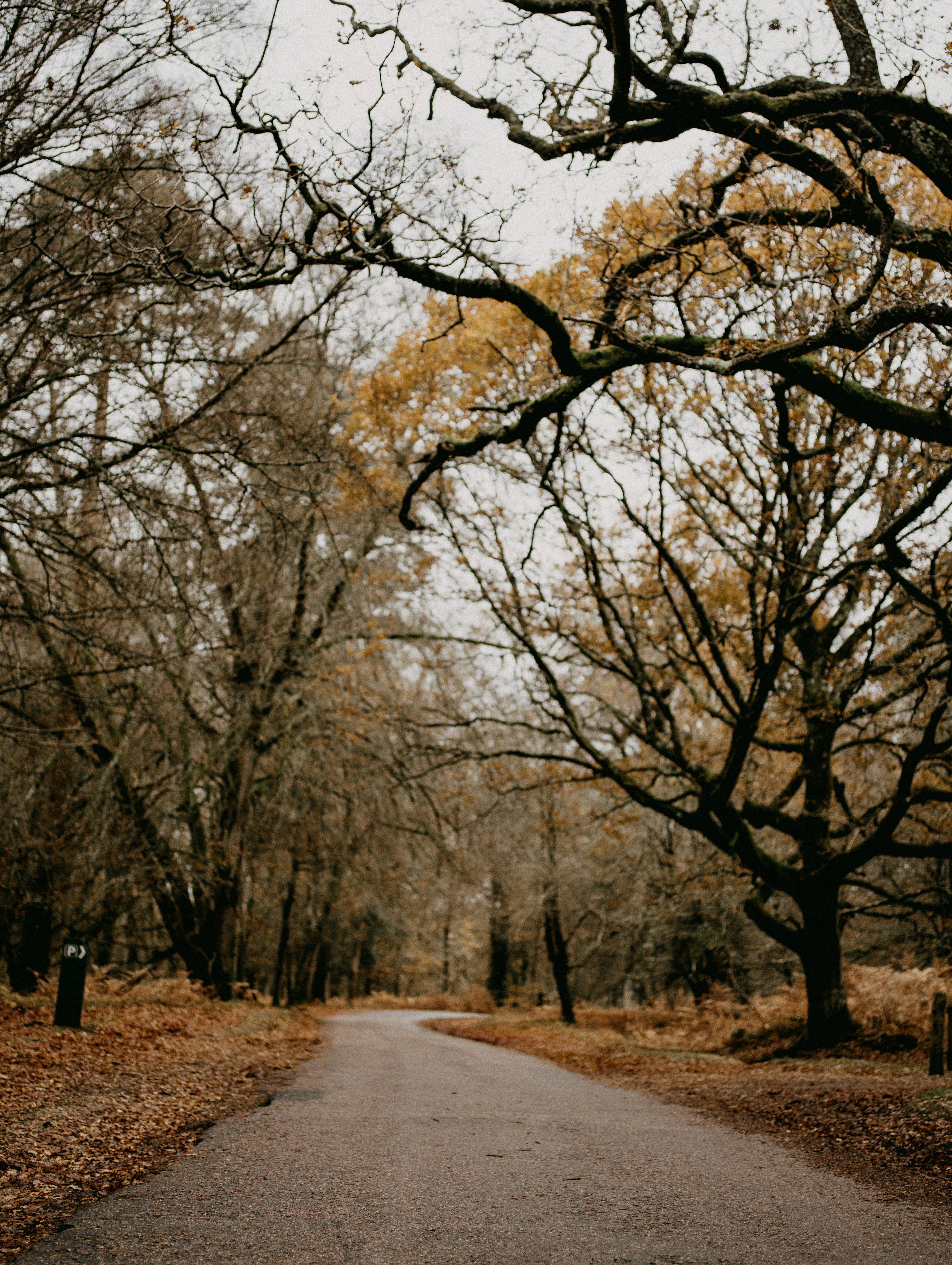 Photo by anniespratt