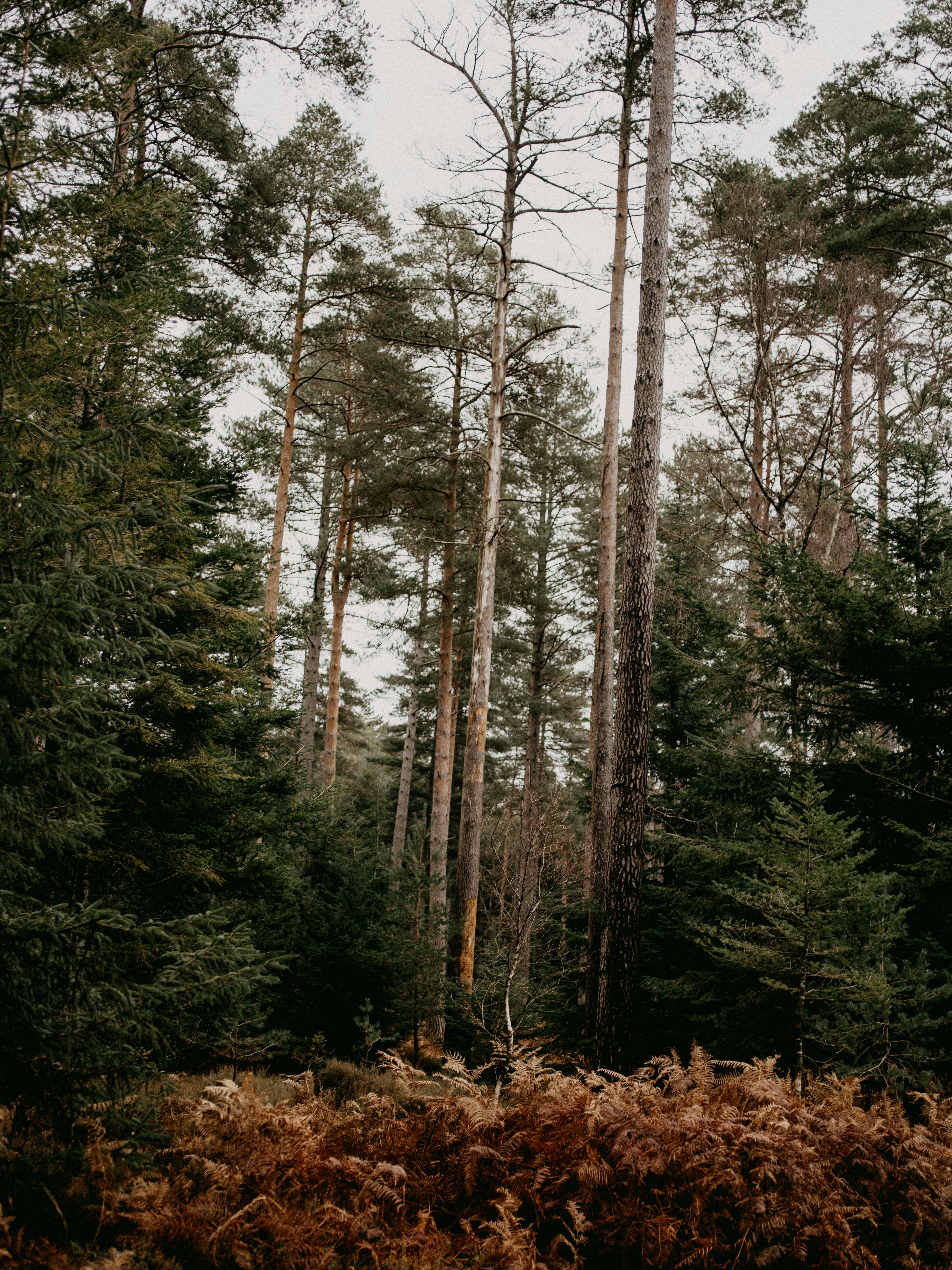 Photo by anniespratt