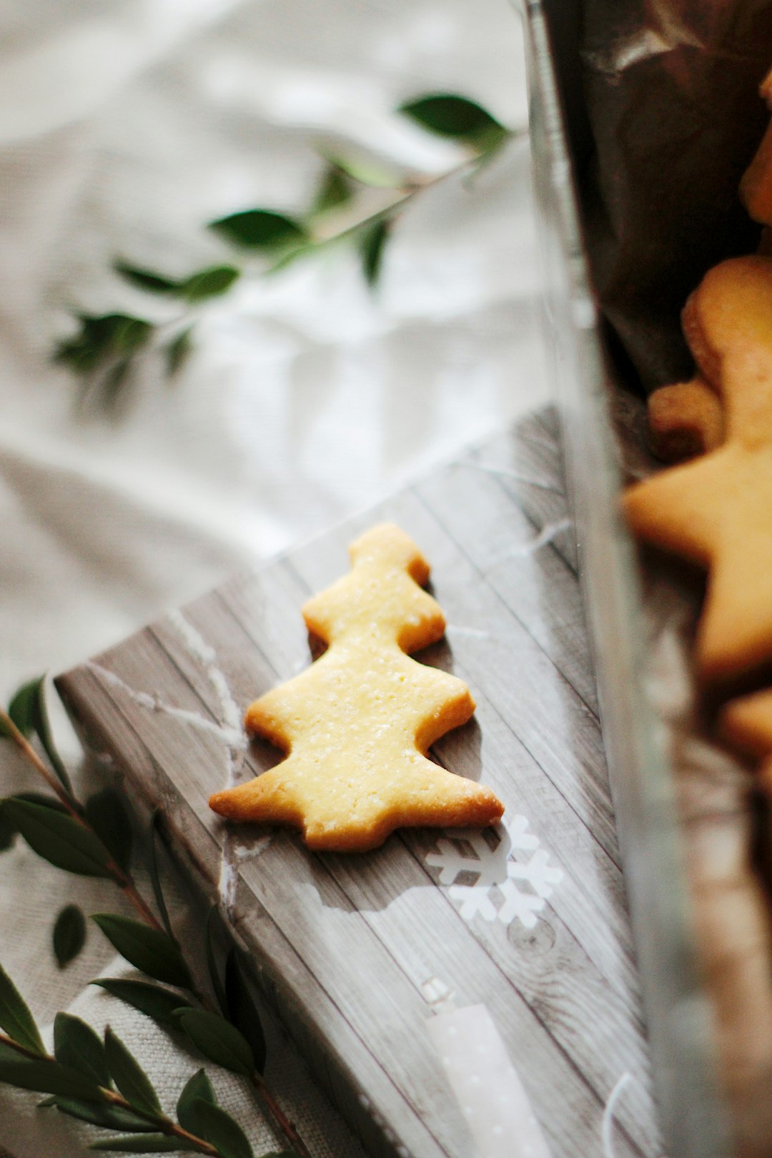 brown star shaped cookie on gray textile