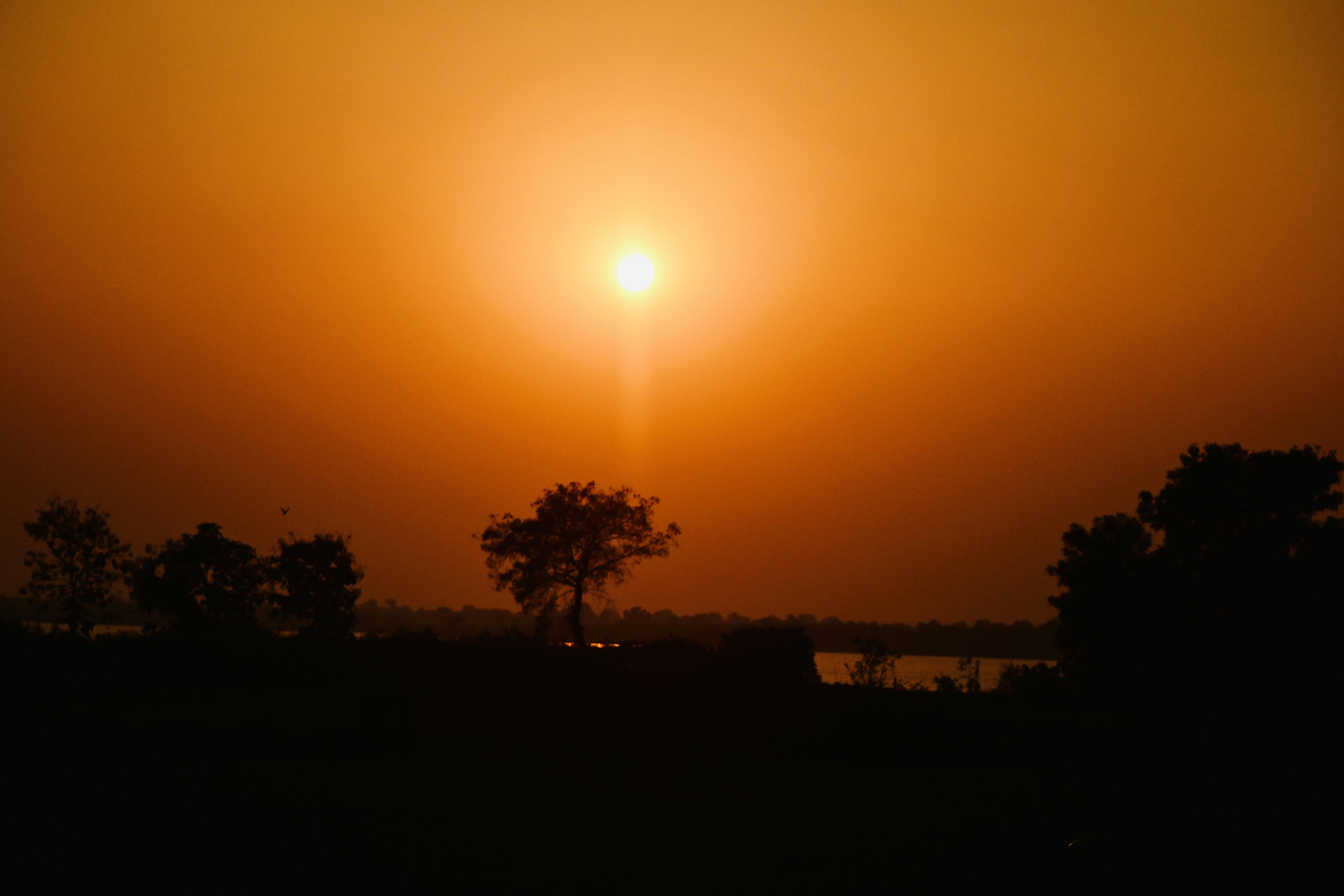 Photo by rrajputphotography