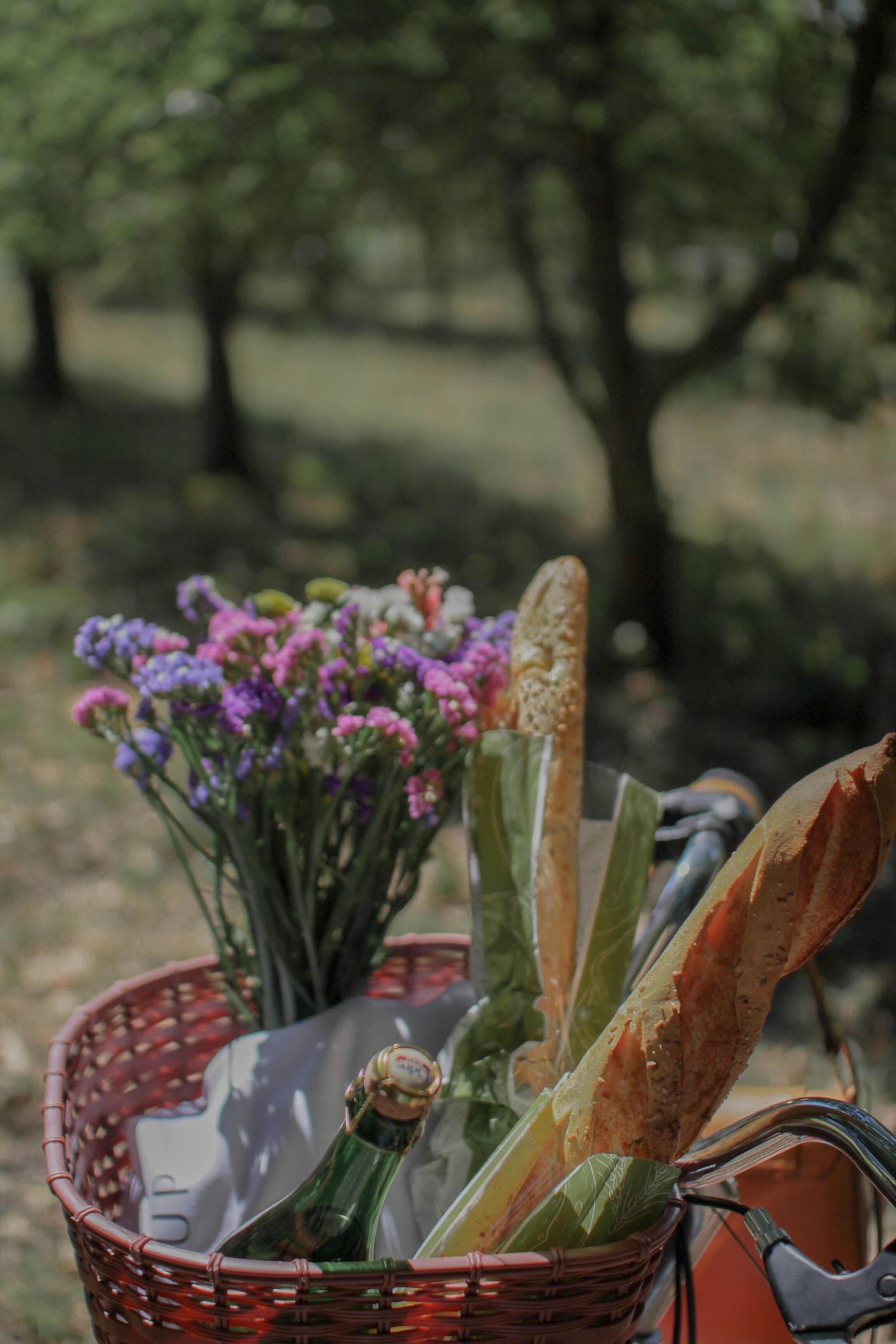picnic wine