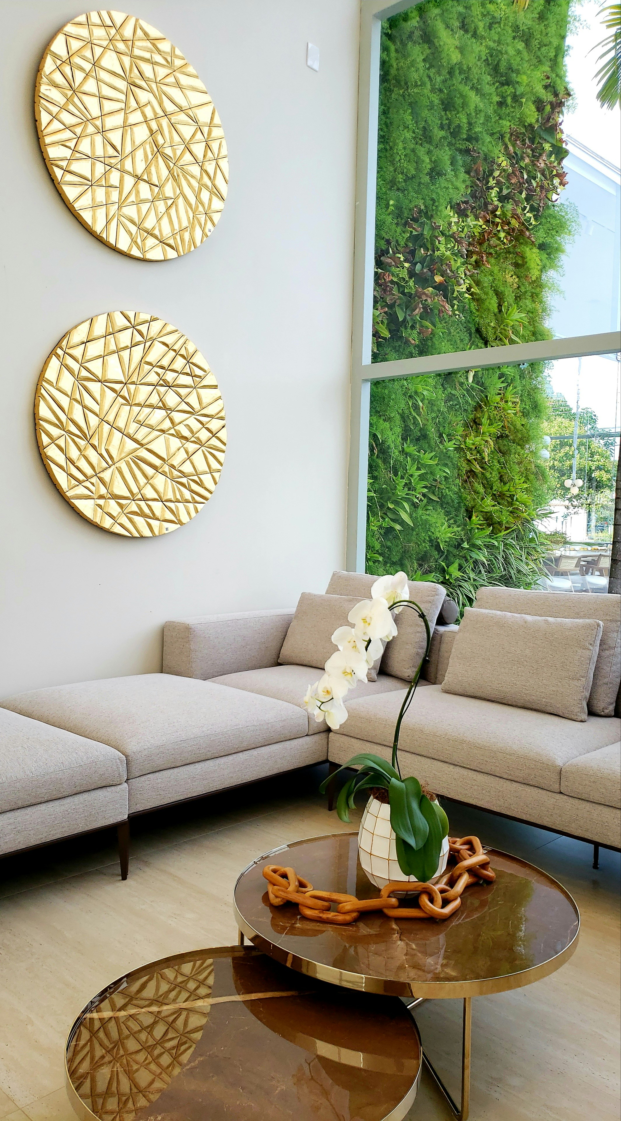 canapé gris à côté de la plante verte en pot