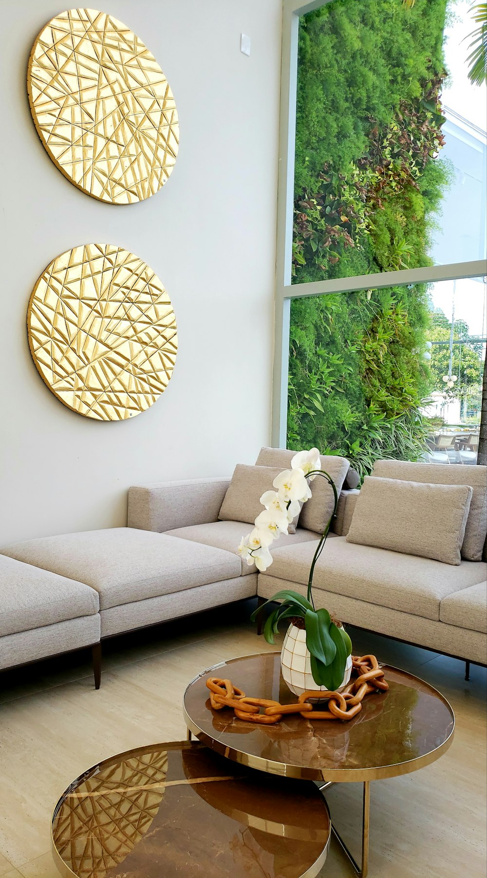 gray couch beside green potted plant