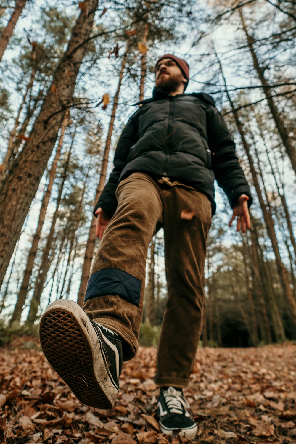 man in black jacket and brown pants jumping on brown tree branch during daytime