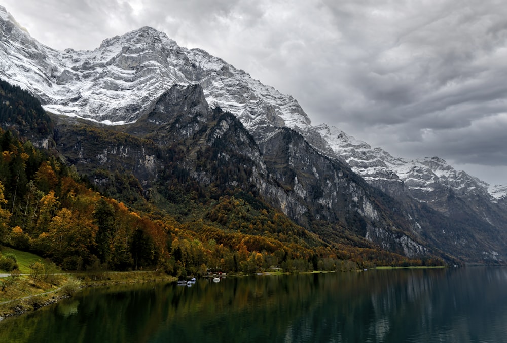 green trees near lake and mountain