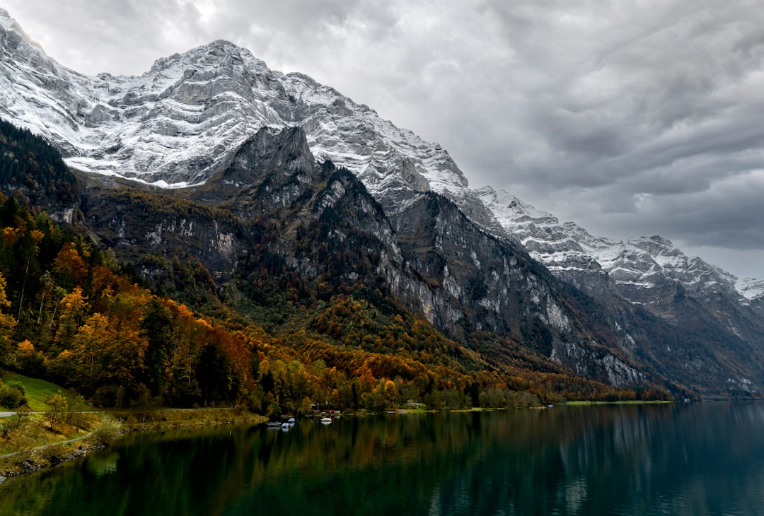 green trees near lake and mountain